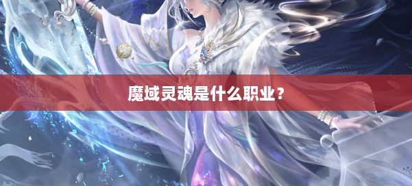 魔域灵魂是什么职业？