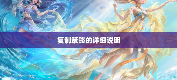 复制策略的详细说明